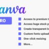 canva Pro subscription